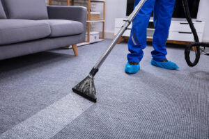 How to Choose the Right Carpet Cleaner for Your Needs